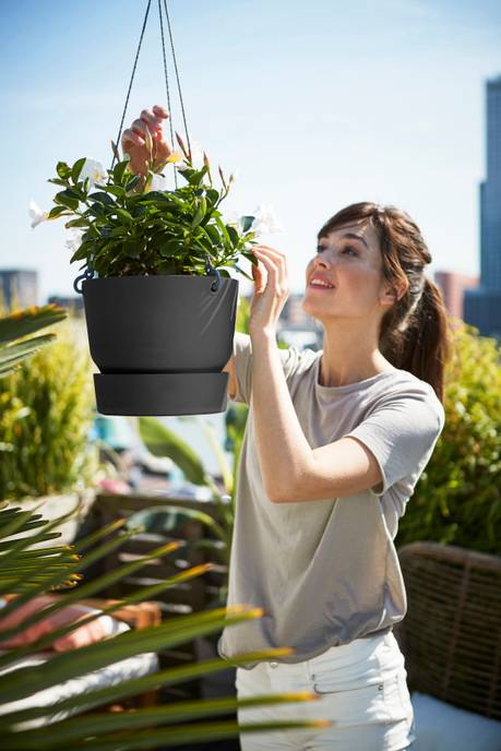 greenville hanging basket 24cm living black